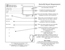 Butterfly Report Worksheet