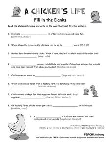 A Chicken's Life Worksheet