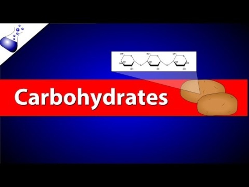 Carbohydrates Lesson Plans & Worksheets Lesson