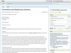 Circulatory and Respiratory Systems Lesson Plan
