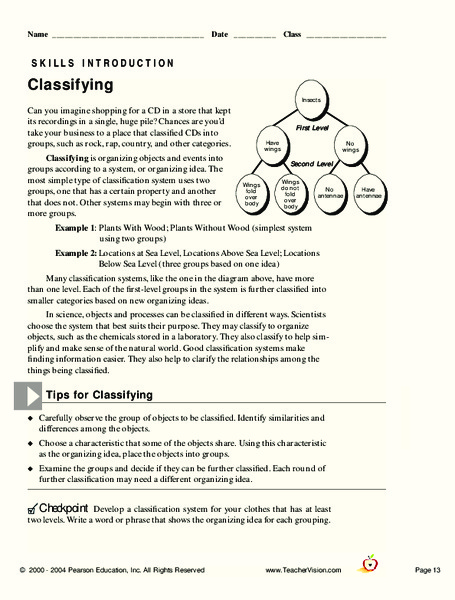 classifying worksheet for 6th 8th grade lesson planet