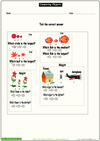 Comparing Objects Worksheet for Kindergarten - 2nd Grade | Lesson Planet