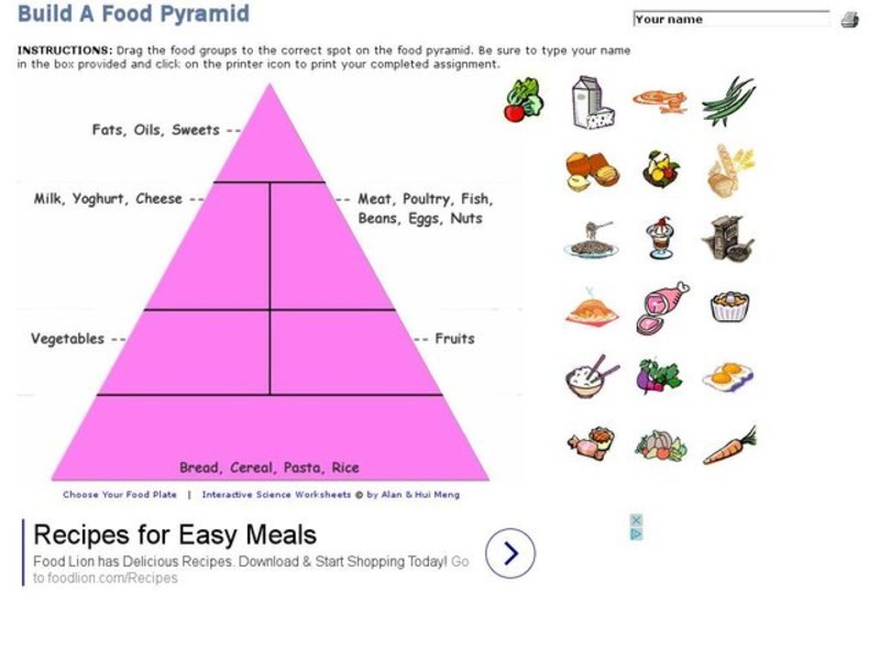 food pyramid lesson plans worksheets lesson planet