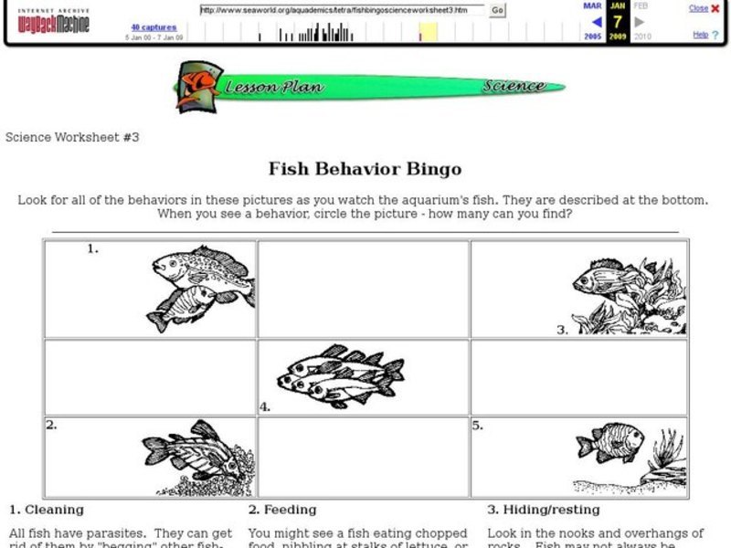 Fish Behavior Bingo Interactive for 1st 4th Grade Lesson