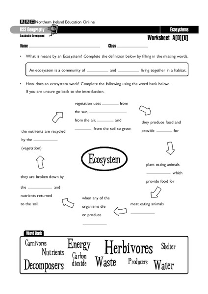 Components Of An Ecosystem Worksheet Components Of An Ecosystem Worksheet