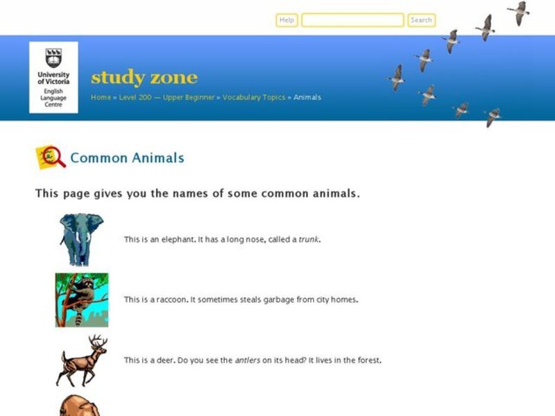 Common Animals Worksheet for 2nd - 5th Grade | Lesson Planet