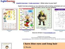 Hair and Eye Color Interactive