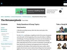 The metamorphosis analysis essay