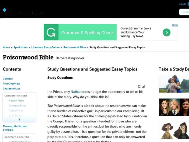 Poisonwood bible essay
