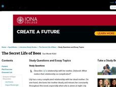 Secret life of bees essay