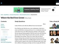 Where the Red Fern Grows by Wilson Rawls: Study Guide - Mini Essays Study Guide