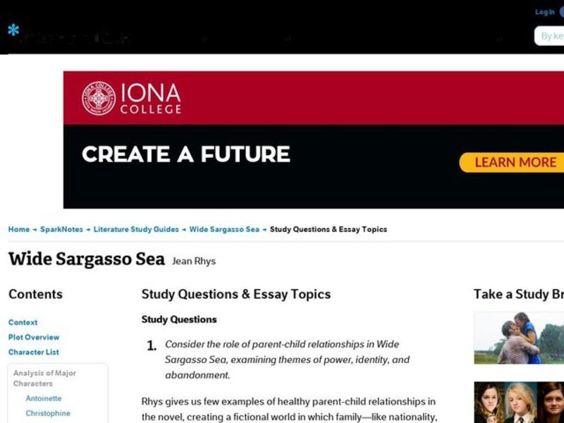 Wide sargasso sea essay