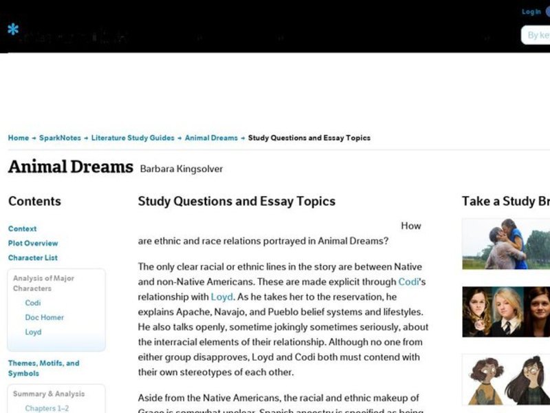 What is your dream essay picture
