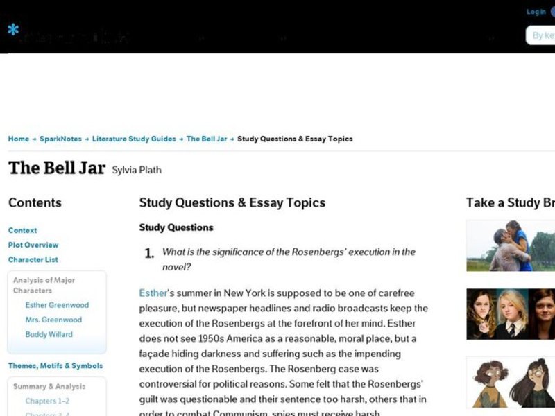 The bell jar essays