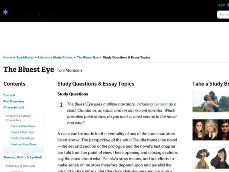 Essay on the bluest eye