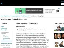Call of the wild essay questions