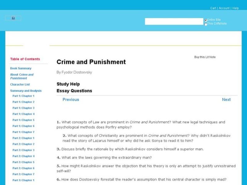 Crime and punishment essay questions