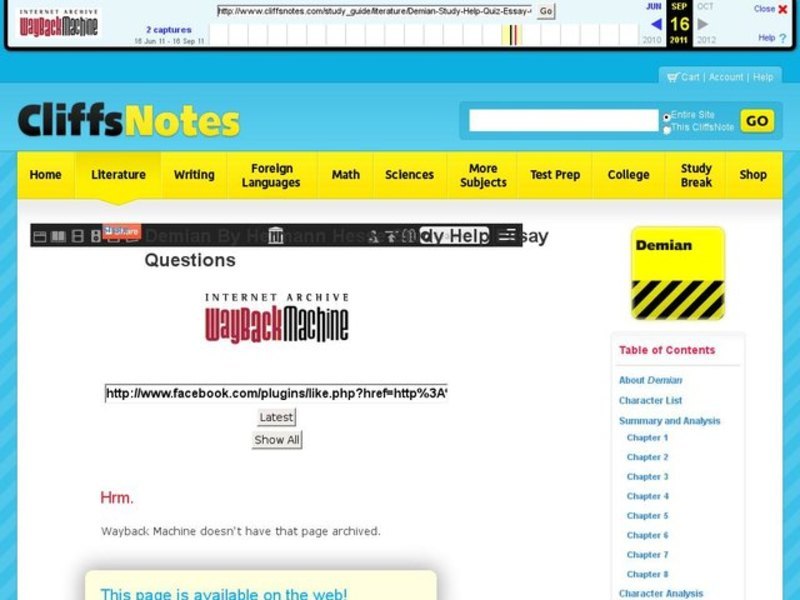 Demian essay 06 picture