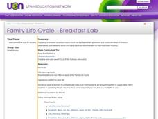 Family Life Cycle - Breakfast Lab Lesson Plan