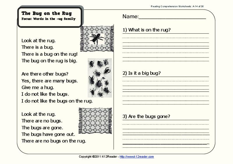 The Bug on the Rug Worksheet for 1st Grade Lesson