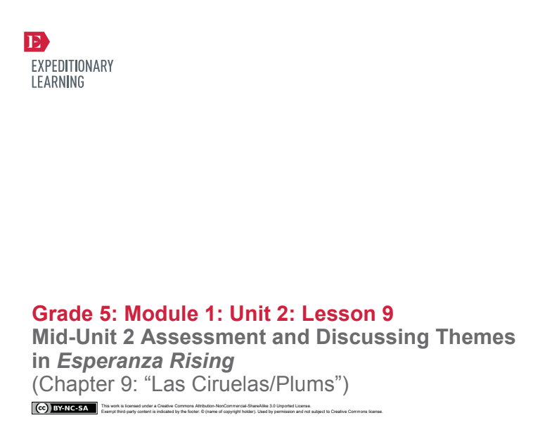 MidUnit Assessment and Discussing Themes in Esperanza Rising (Chapter