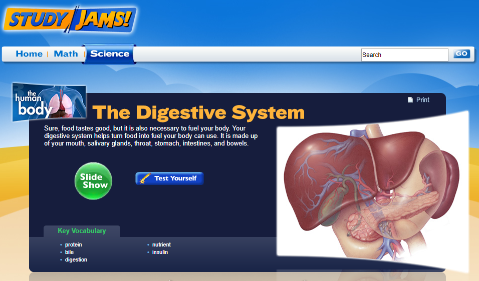 Study Jams! The Digestive System Interactive for 4th 9th Grade