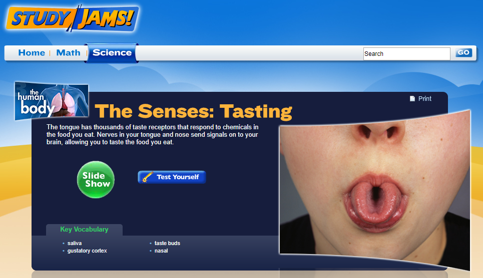 Study Jams! The Senses Tasting Interactive for 4th 8th Grade