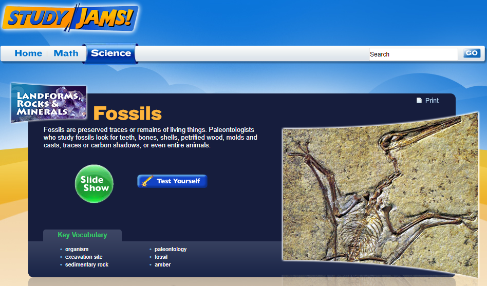 Study Jams! Fossils Interactive for 4th 8th Grade Lesson