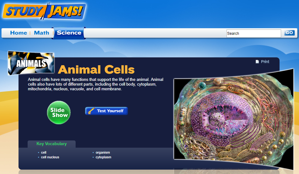 Study Jams! Animal Cells Interactive for 5th 8th Grade Lesson