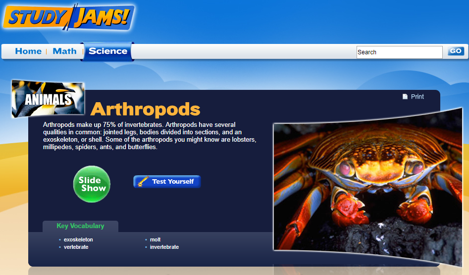 Study Jams! Arthropods Interactive for 4th 8th Grade Lesson