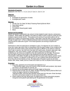 Garden in a Glove Lesson Plan for Kindergarten - 4th Grade | Lesson ... Garden in a Glove Lesson Plan for Kindergarten - 4th Grade | Lesson ...