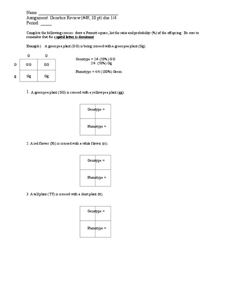 Genetics Review Worksheet for 6th - Higher Ed | Lesson Planet