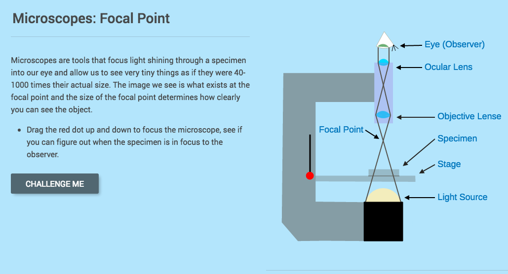 Microscopes Focal Point Interactive for 6th 8th Grade Lesson