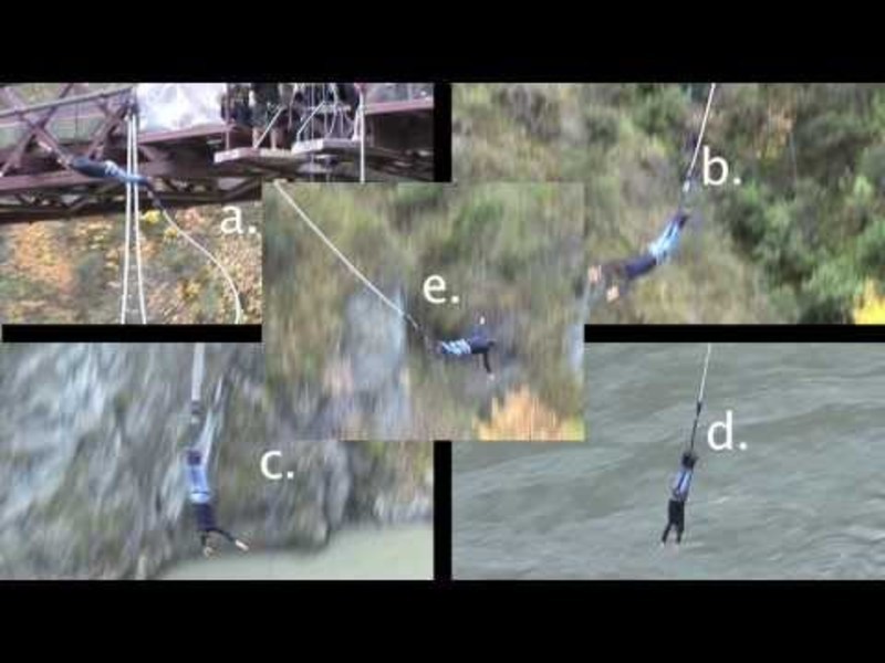 When Is A Bungee Jumper's Acceleration Max? Instructional Video for 6th