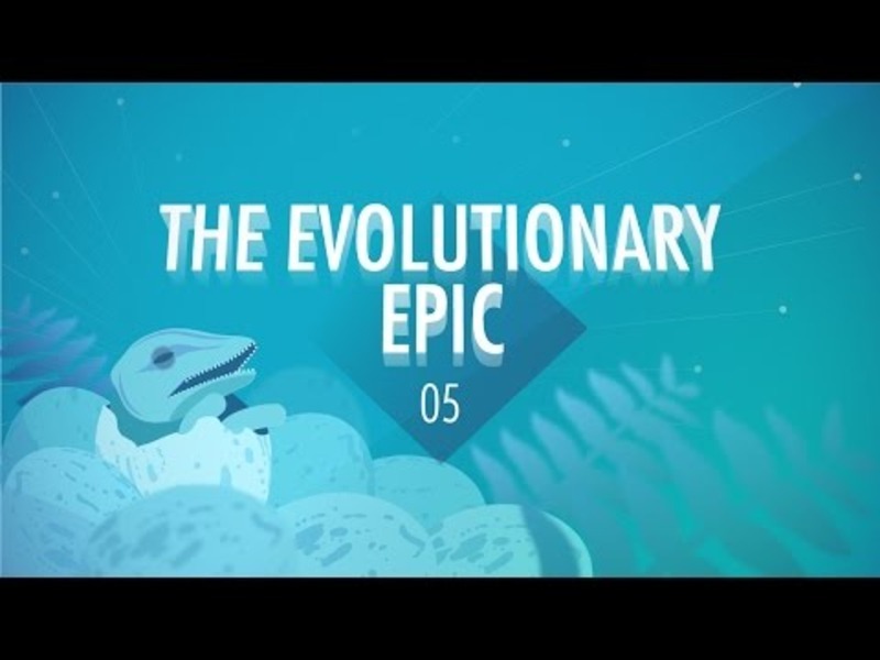 The Evolutionary Epic Crash Course Big History 5 Instructional Video