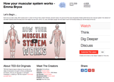 How Your Muscular System Works Instructional Video for 6th - 12th Grade ...