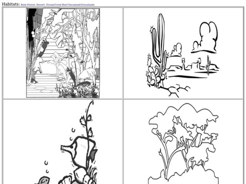 habitats worksheet for 5th 6th grade lesson planet