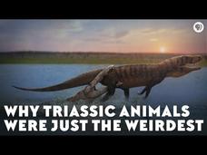 Why Triassic Animals Were Just the Weirdest Video