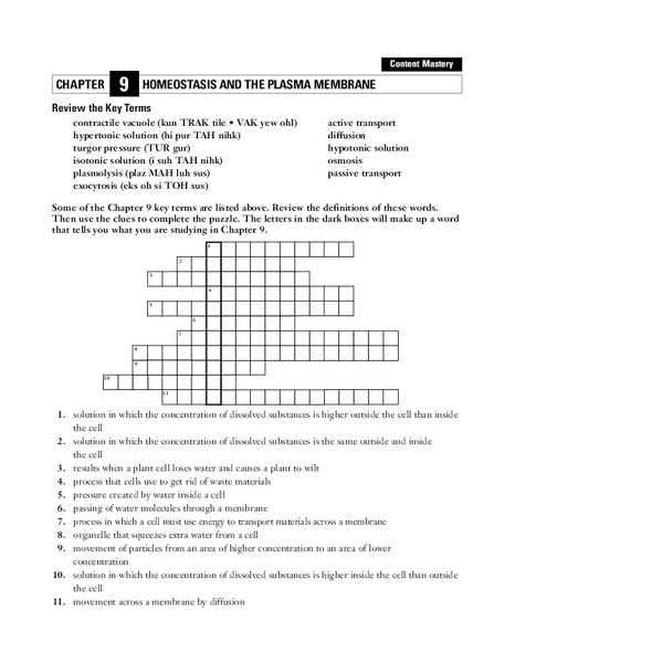 Homeostasis and the Plasma Membrane Worksheet for 9th Grade Lesson