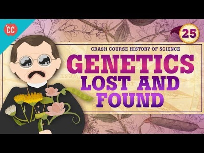Genetics Lost And Found Crash Course History Of Science 25 Genetics Lost And Found Crash Course History Of Science 25