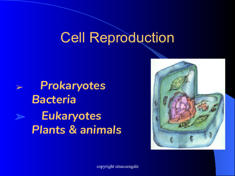 Cell Reproduction PPT for 9th - 12th Grade | Lesson Planet