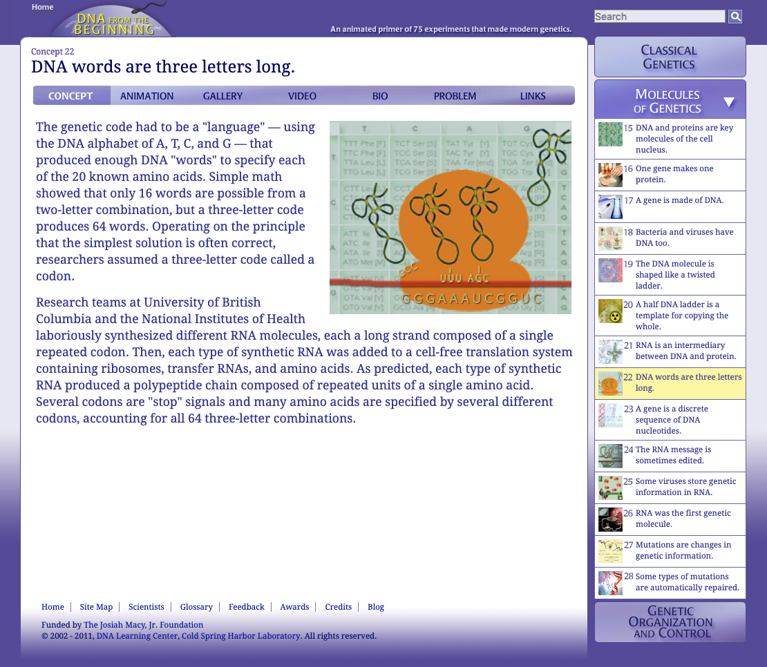 DNA Words Are Three Letters Long Interactive for 9th 12th Grade