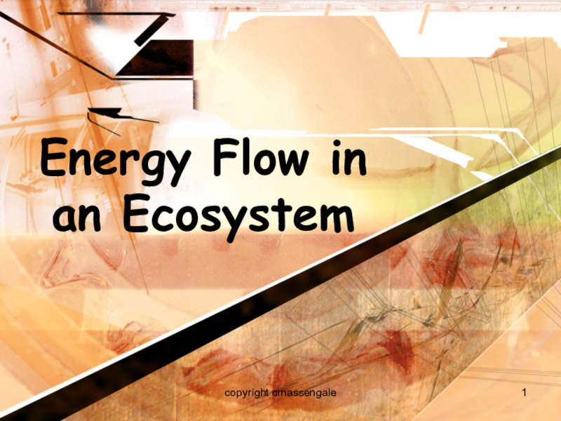 Energy Flow in an Ecosystem PPT for 6th - 12th Grade | Lesson Planet