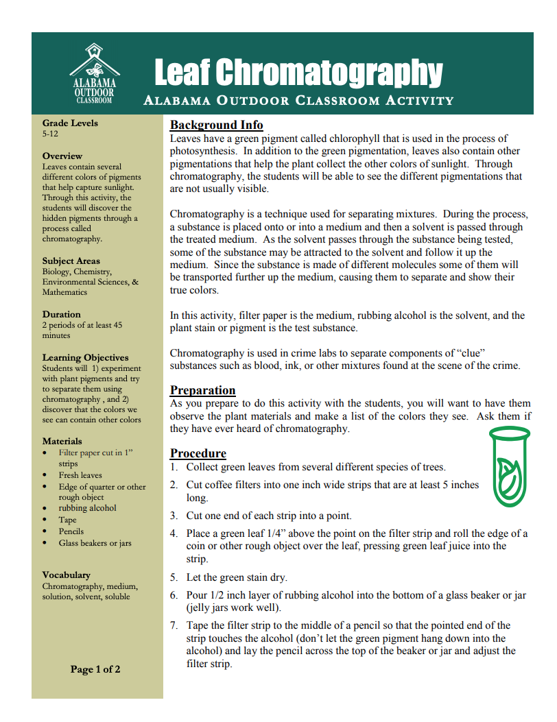 Leaf Chromatography Lesson Plan for 5th 12th Grade Lesson