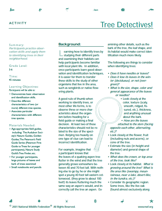 Tree Detectives! Lesson Plan for 3rd 6th Grade Lesson