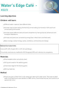 Water's Edge Café Lesson Plan