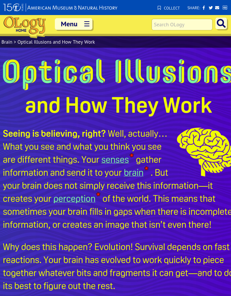 Optical Illusions and How They Work Interactive for 6th 12th Grade
