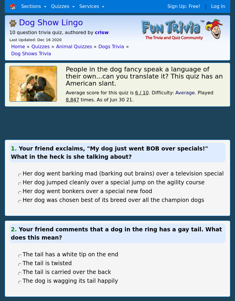 Dog Show Lingo
