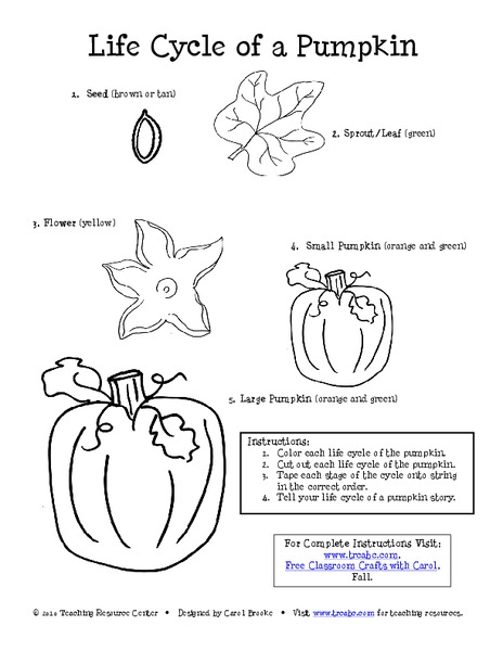 26 best ideas for coloring | Pumpkin Life Cycle Coloring Page