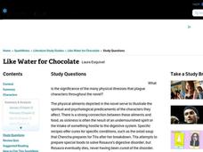 Like Water For Chocolate Lesson Plans Worksheets